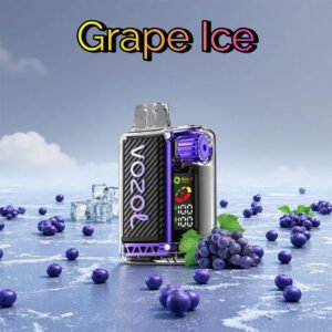 Grape Ice Vozol Vista 20000