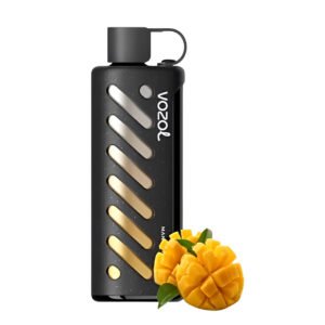 vozol gear shisha 25000 mango freeze