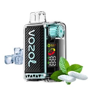 vozol vista 20000 miami mint