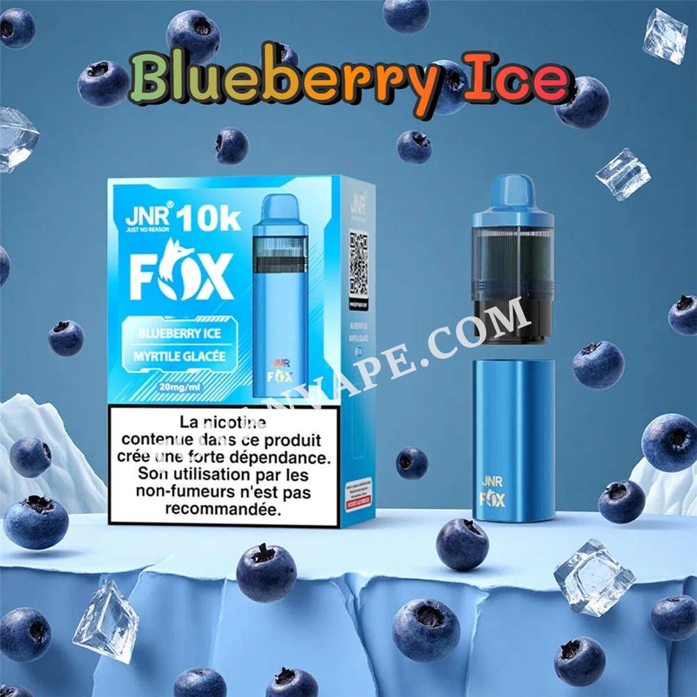 blueberry ice jnr fox 10000