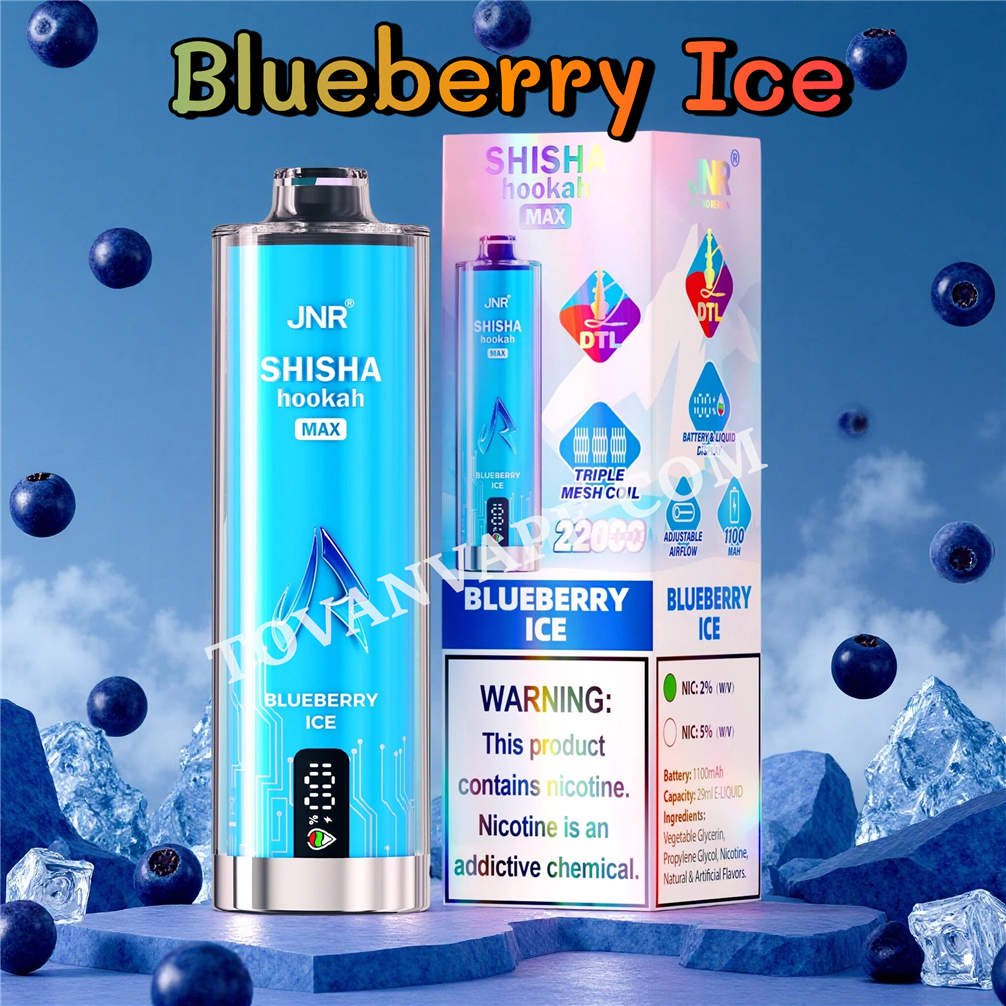 blueberry ice jnr shisha max 22000