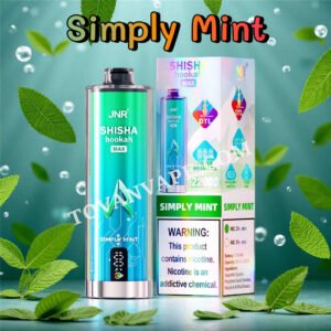 simply mint jnr shisha max 22000