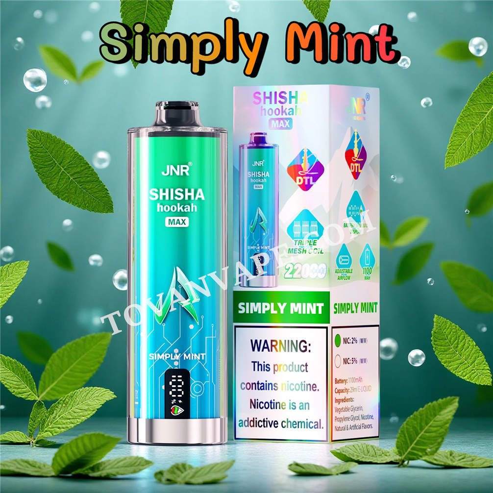 simply mint jnr shisha max 22000
