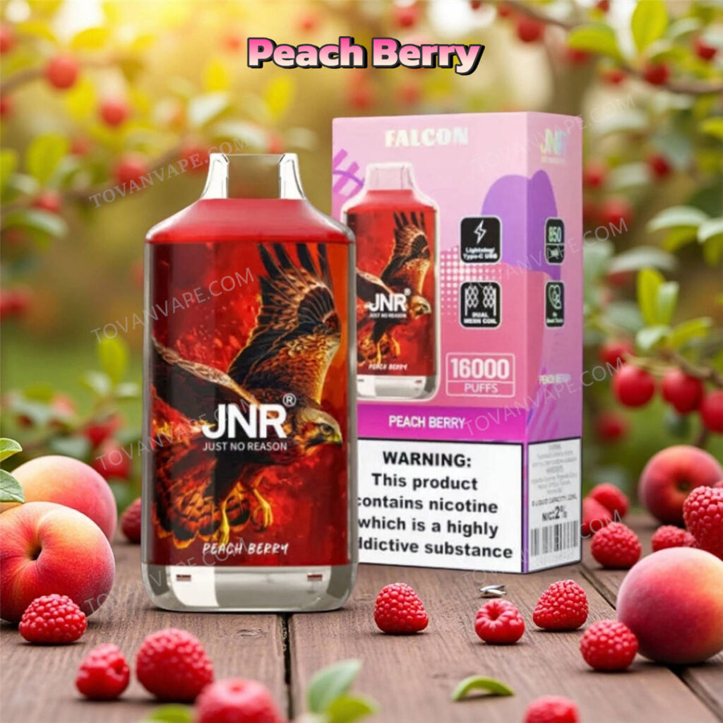 jnr falcon 16k peach berry cigarette électronique, illustrée avec des pêches juteuses et sucrées et un mélange de fruits rouges