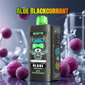 merry mi blade 30k aloe blackcurrant surrounded by fresh aloe vera leaves and dark blackcurrants