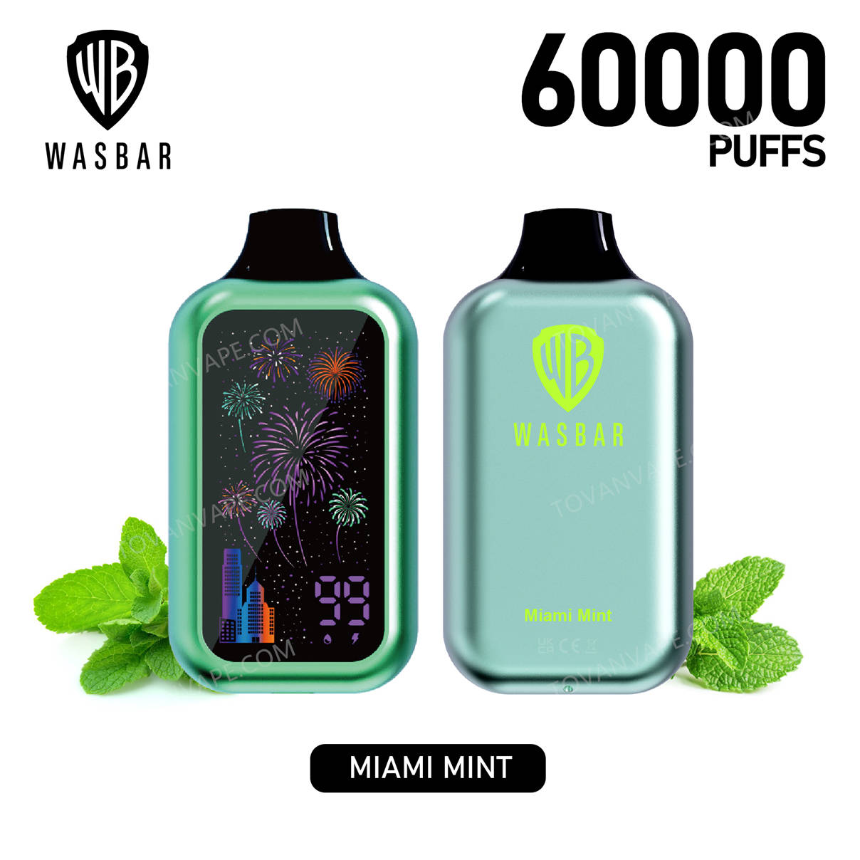 les deux faces des modèles wasbar 60k et miami mint
